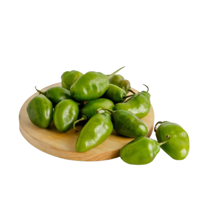 Cabe Gendot Astro Farm