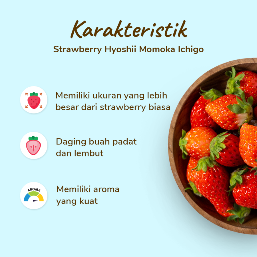 Hyoshii Strawberry Premium Momoka Ichigo Size M 15pcs