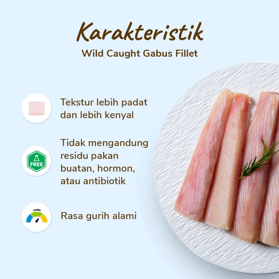 Ikan Gabus Fillet Wild Caught 500gram
