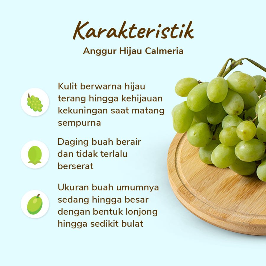 Anggur Hijau Calmeria Seeded Astro Farm 500gram