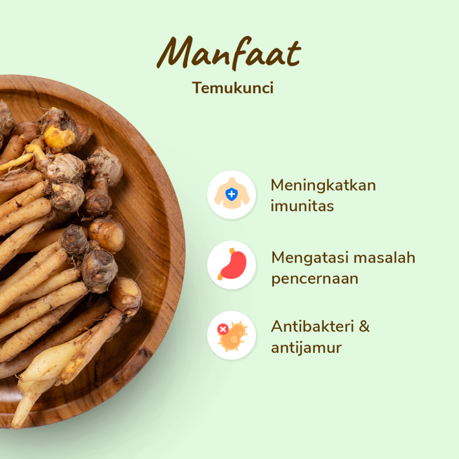 Temukunci Astro Farm 100gram