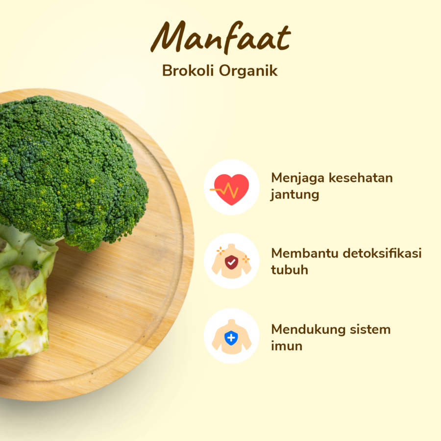 Brokoli Organik Astro Farm 200gram