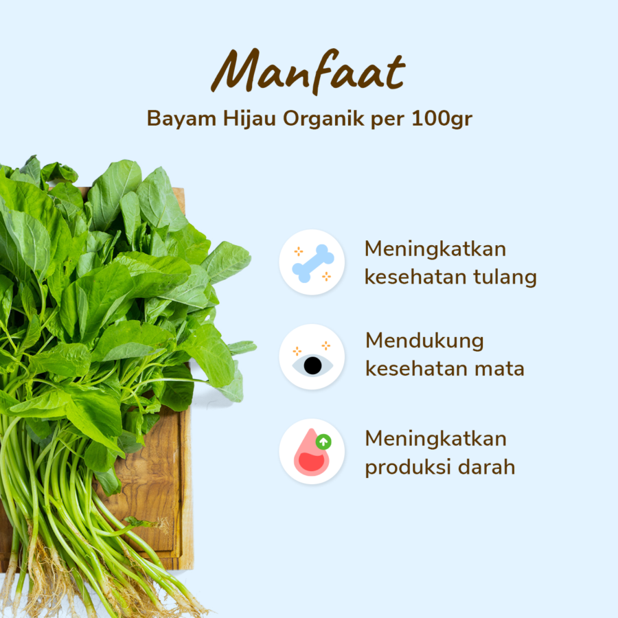 Bayam Hijau Organik Astro Farm 250gram