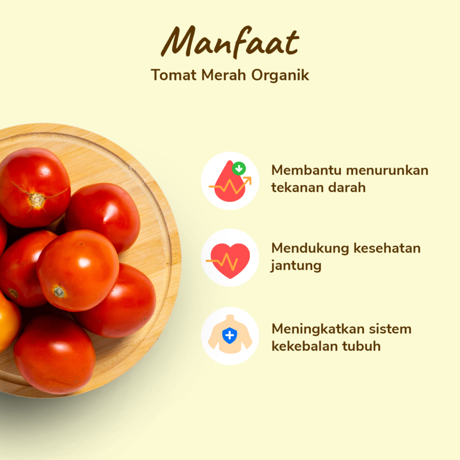 Tomat Merah Organik Astro Farm 500gram