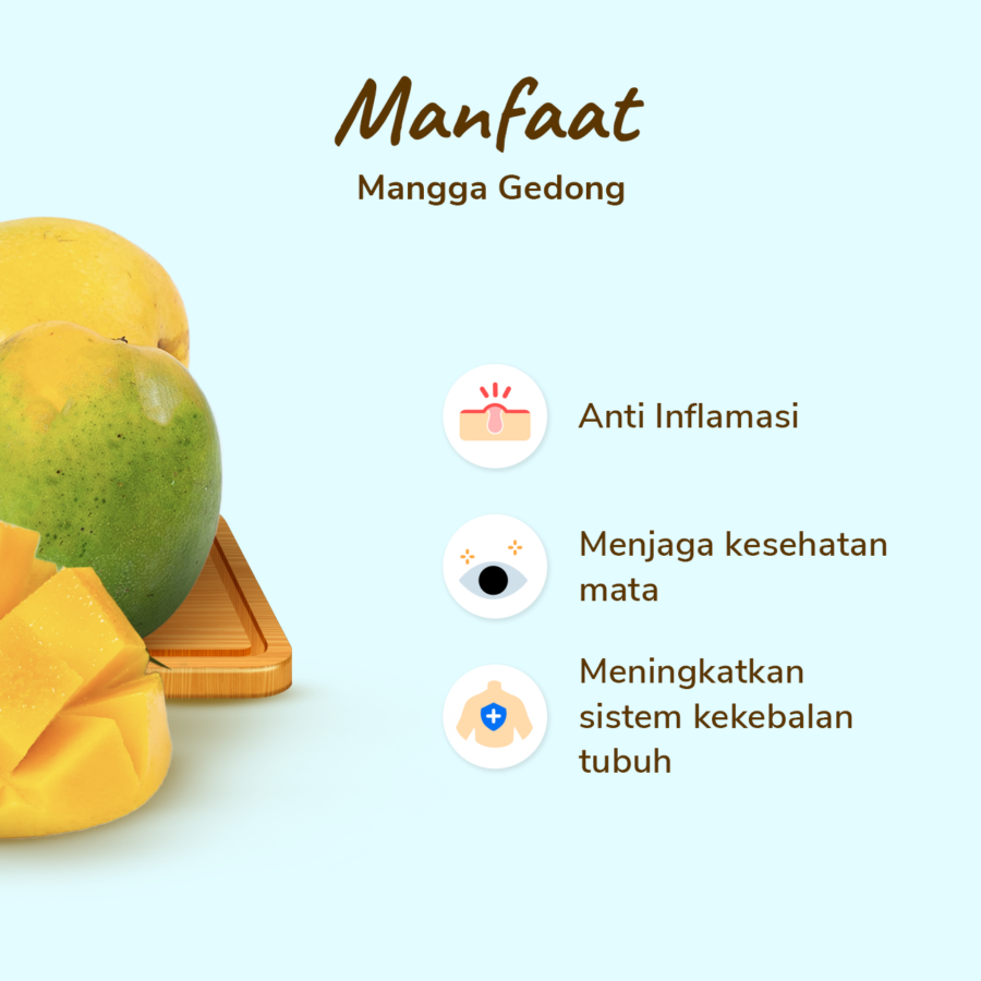 Mangga Gedong Astro Farm 2-3 pcs 400-500 gram