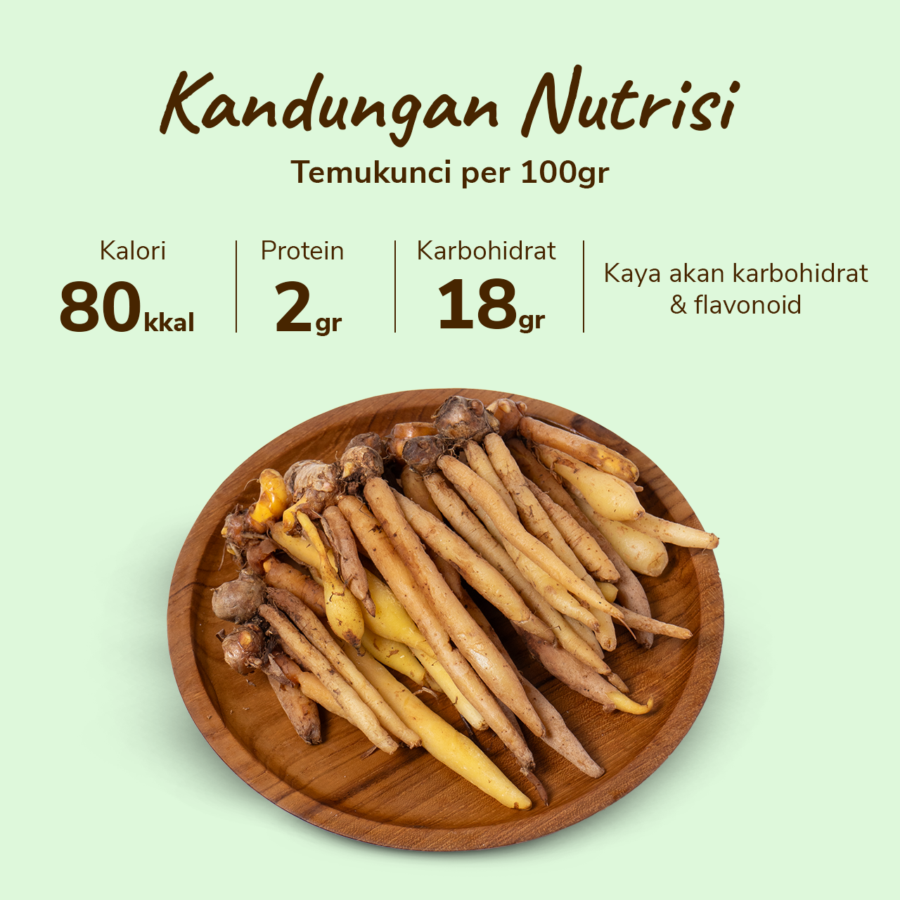 Temukunci Astro Farm 100gram