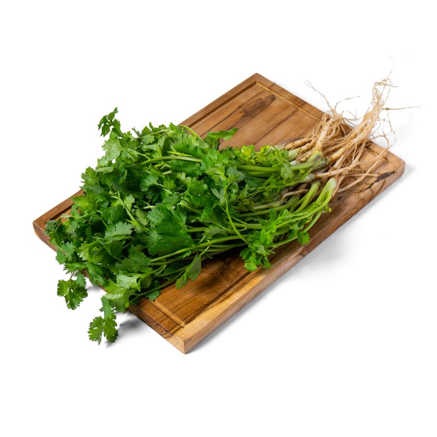 Daun Ketumbar Organik Astro Farm 1packs
