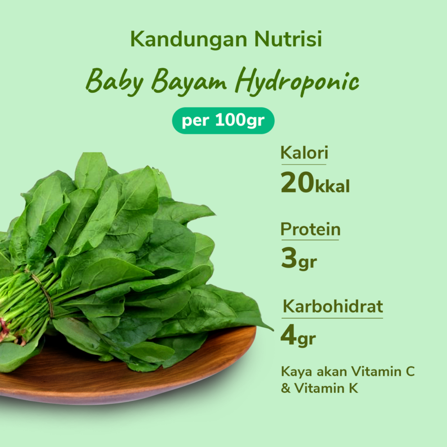 Baby Bayam Hydroponic Astro Farm 100gram