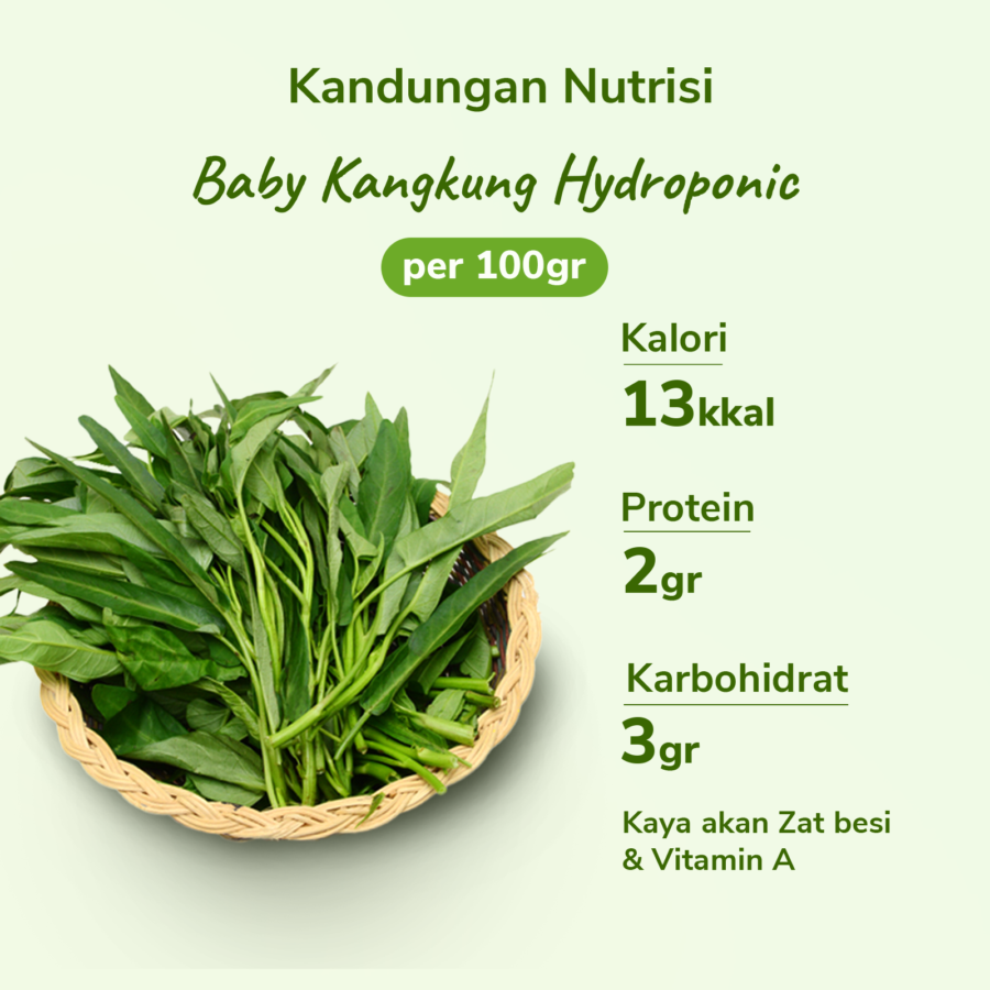 Baby Kangkung Hydroponic Astro Farm 200gram