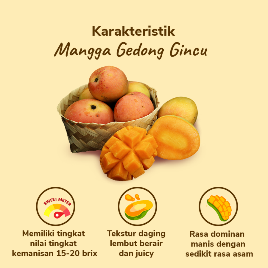 Mangga Gedong Gincu Astro Farm 2-3 pcs 450-500 gram