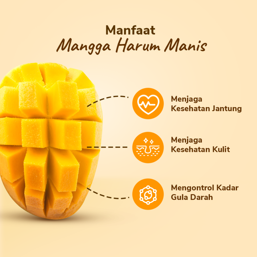Mangga Harum Manis Astro Farm 1-2 pcs 400-500 gram