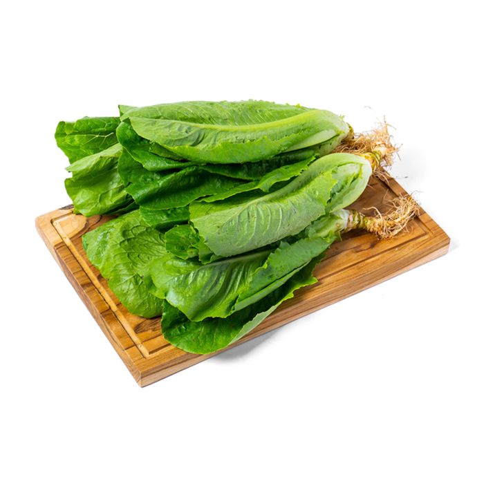Selada Romaine Organik Astro Farm