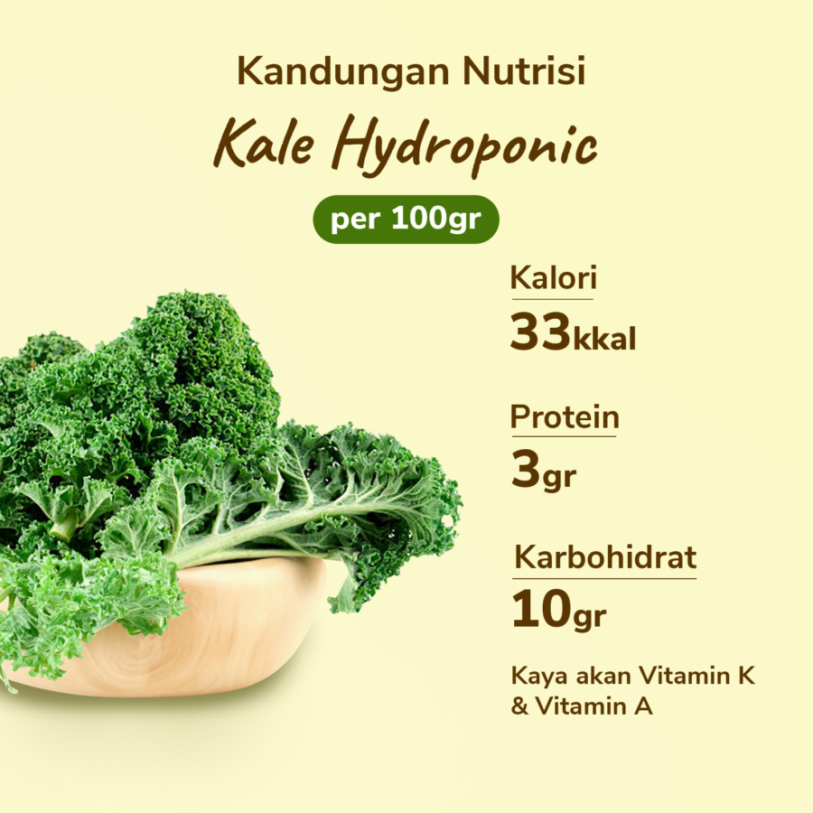 Kale Hydroponic Astro Farm 200gram