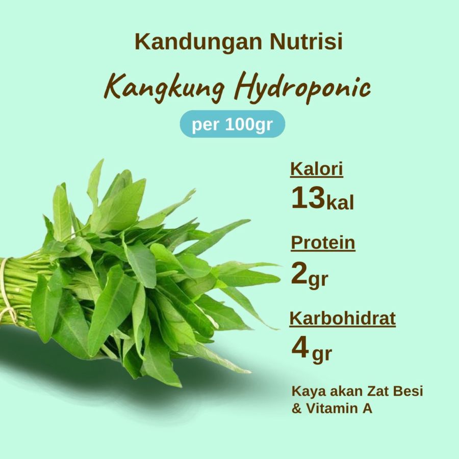 Kangkung Hydroponic Astro Farm 200gram