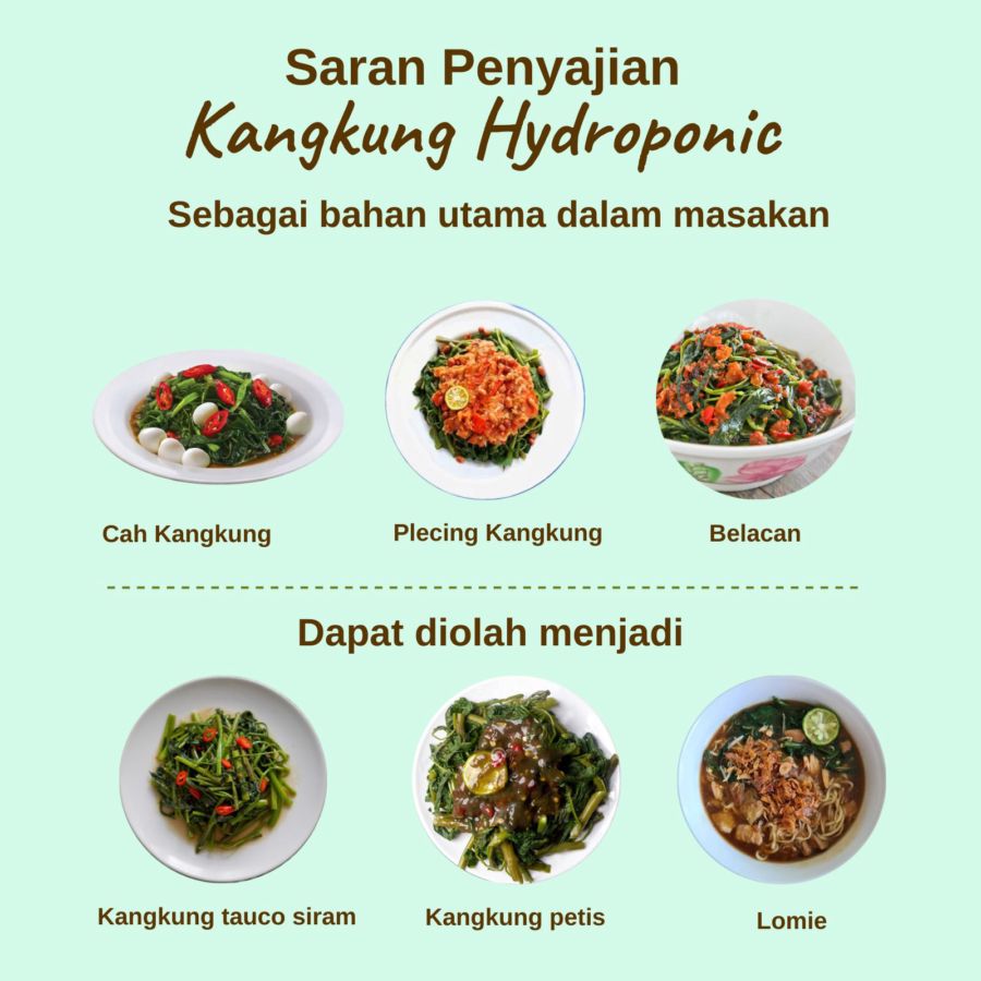 Kangkung Hydroponic Astro Farm 200gram