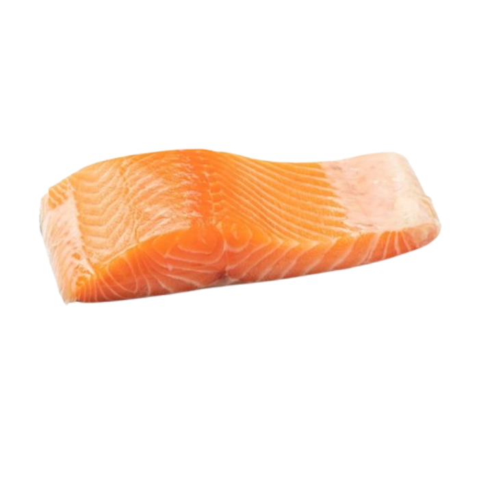 Salmon Fillet Astro Goods