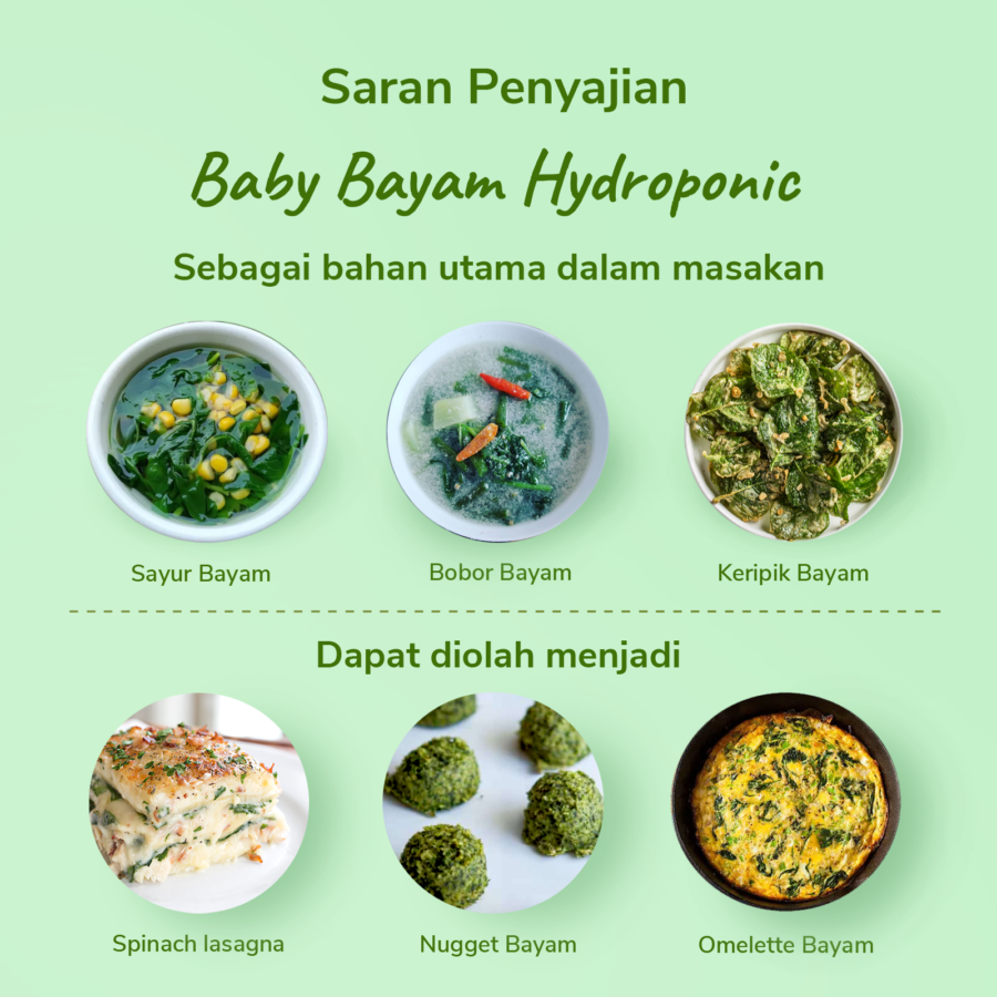 Baby Bayam Hydroponic Astro Farm 100gram