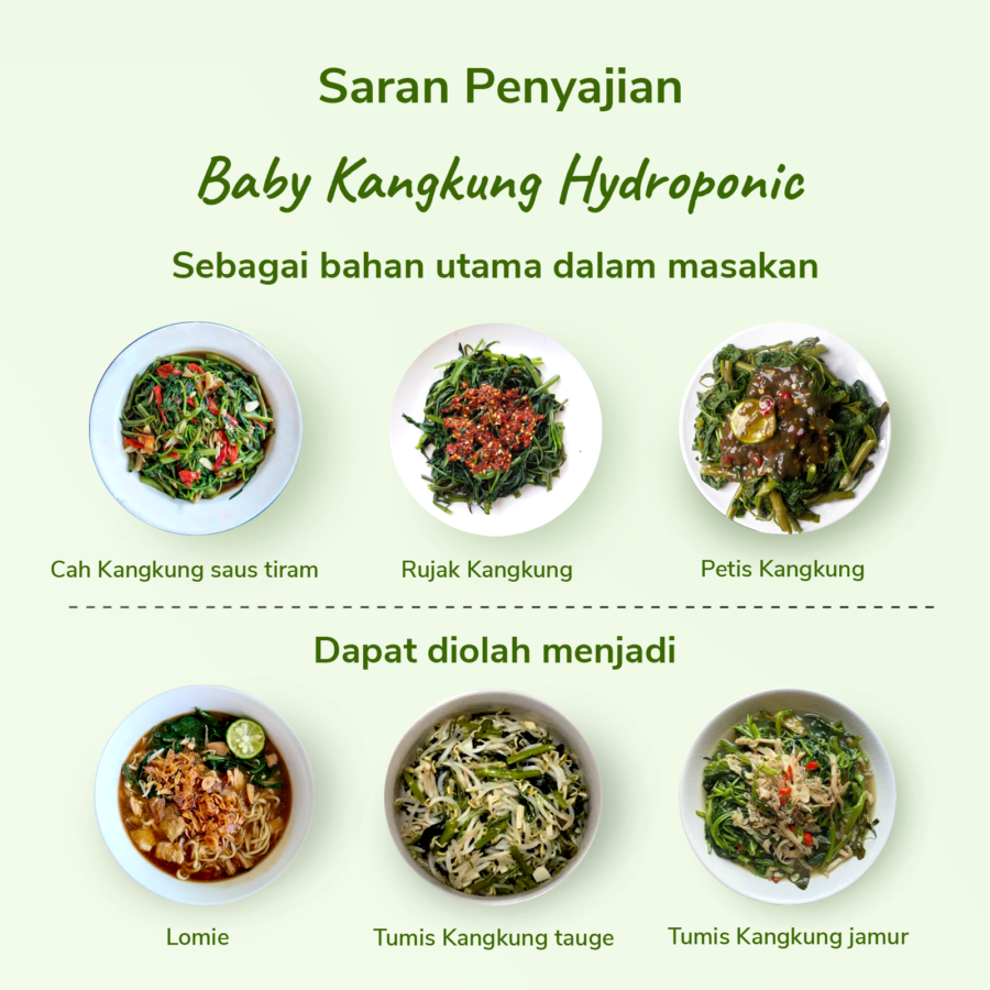 Baby Kangkung Hydroponic Astro Farm 200gram