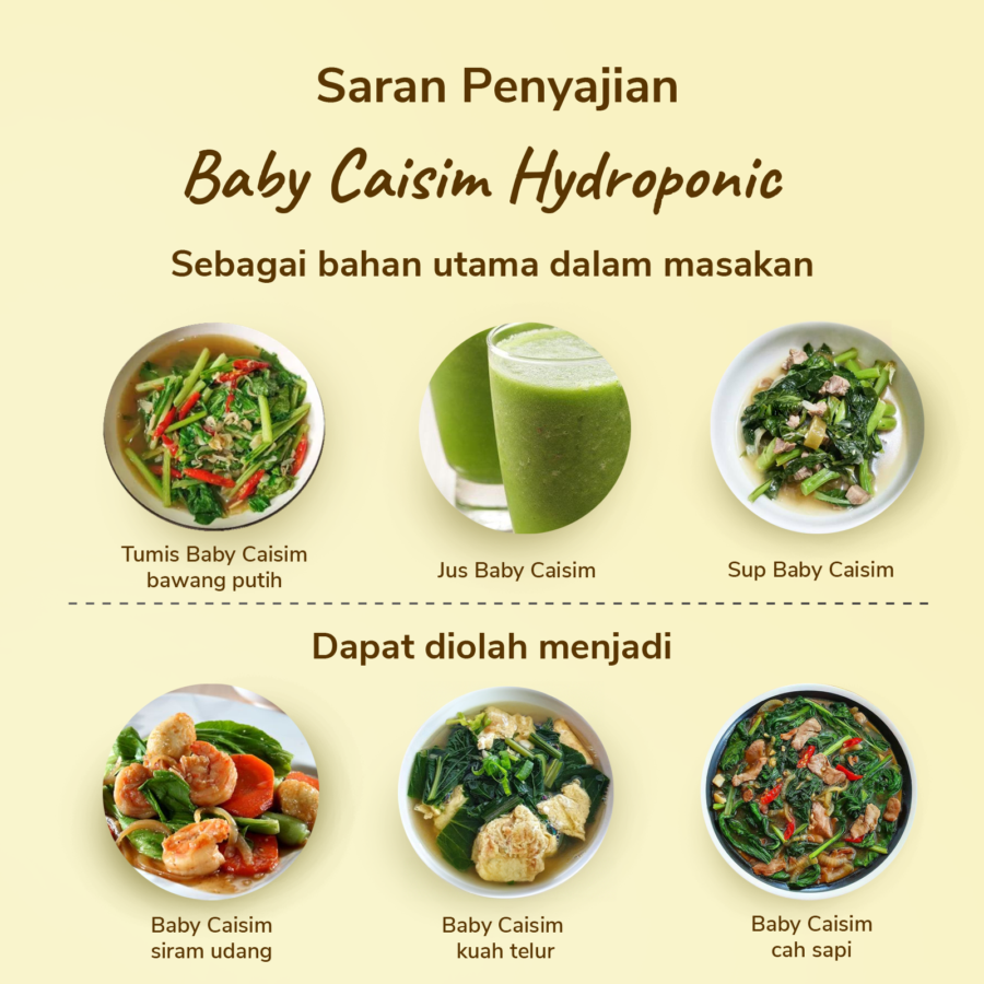 Baby Caisim Hydroponic Astro Farm 200gram