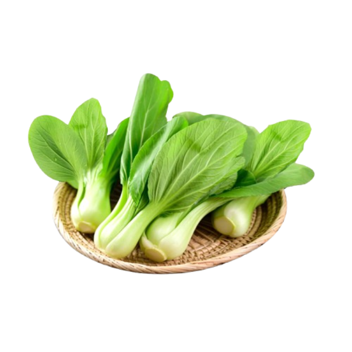 Baby Pakcoy Hydroponic Astro Farm