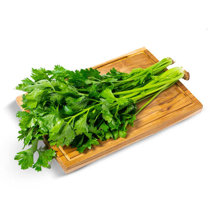 Daun Seledri Organik Astro Farm