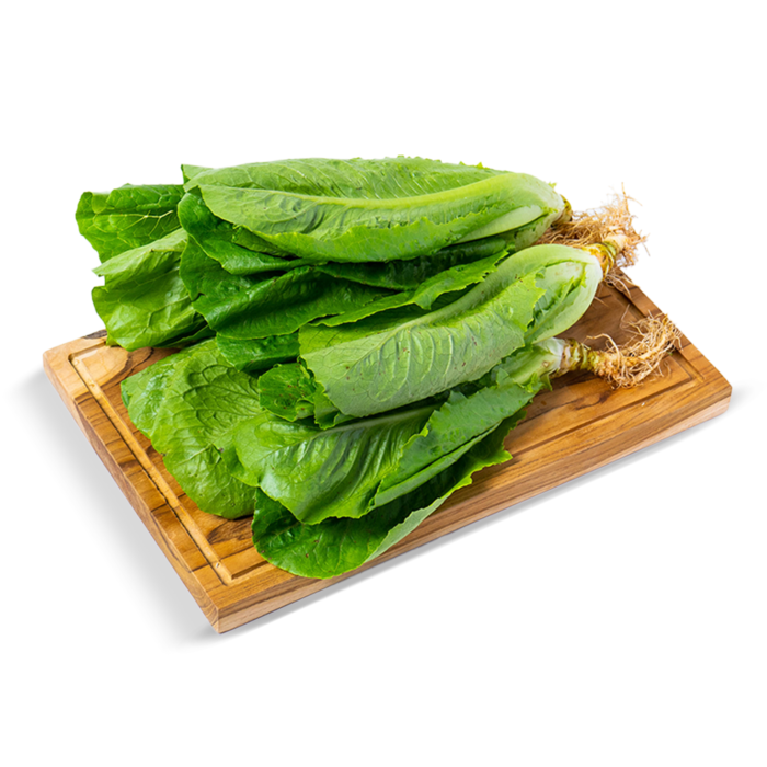 Selada Romaine Organik Astro Farm