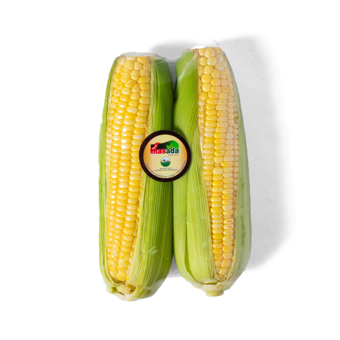 Jagung Manis Organik Astro Farm