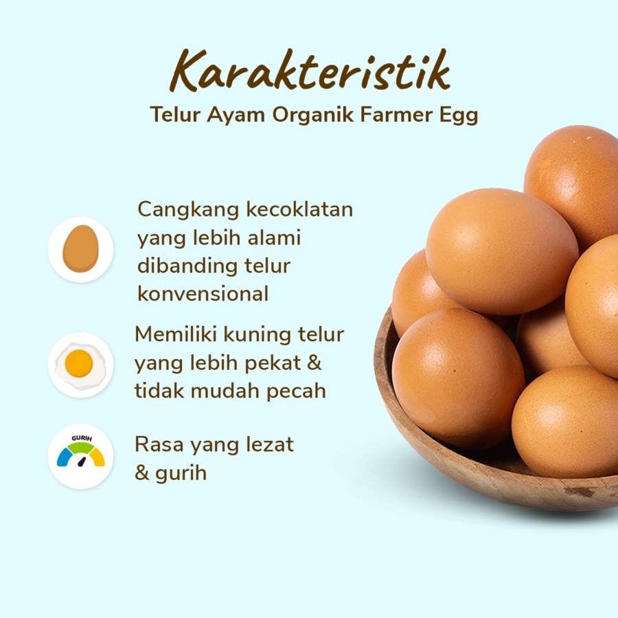 Farmer Eggs Telur Ayam Omega Organik 10butir
