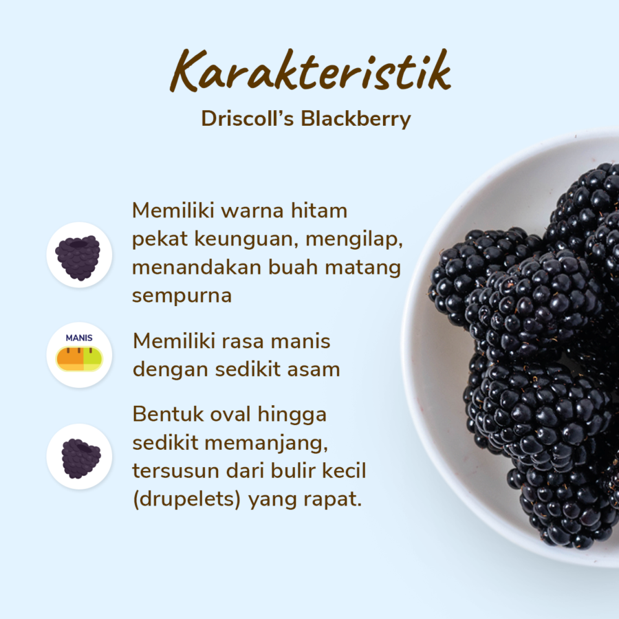 Driscoll's Blackberry 125gram
