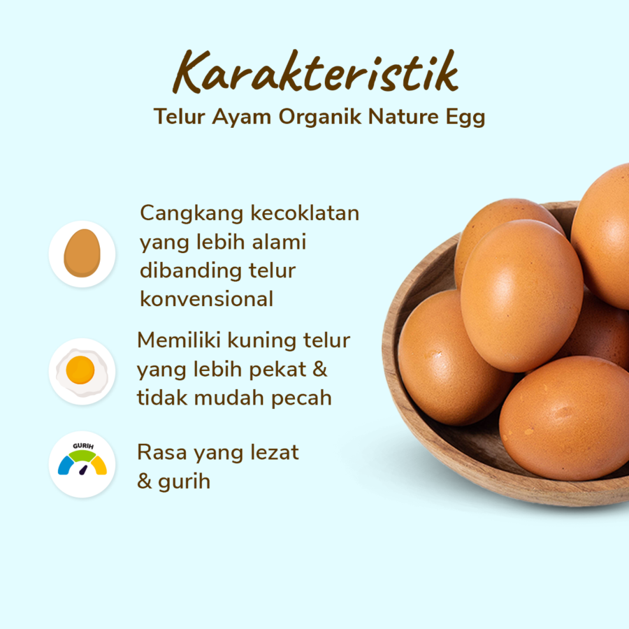 Nature Eggs Telur Ayam Organik Cage Free 10butir