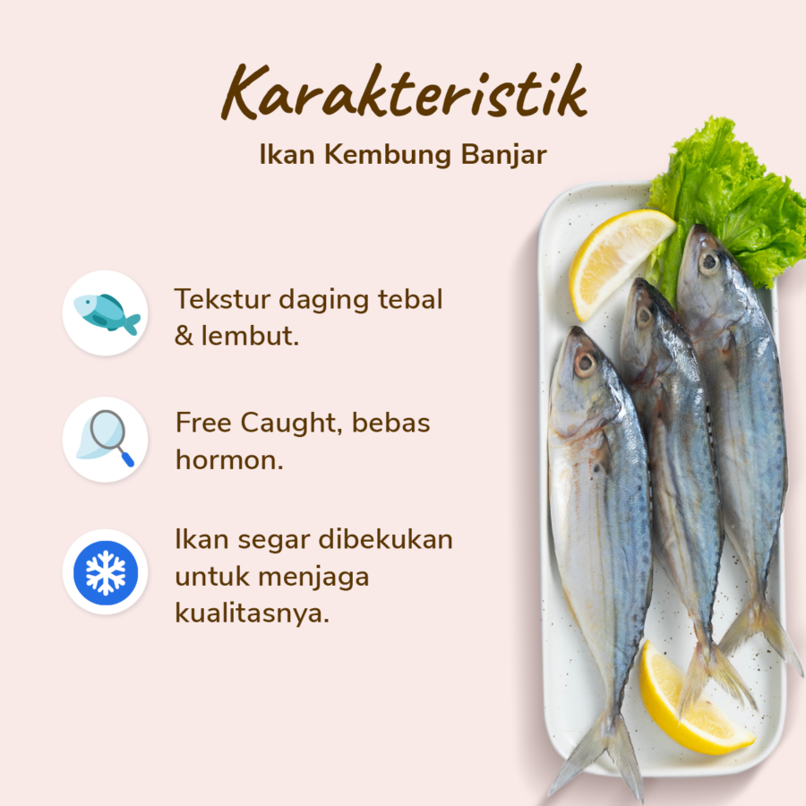 Ikan Kembung Banjar Wild Caught 400gram