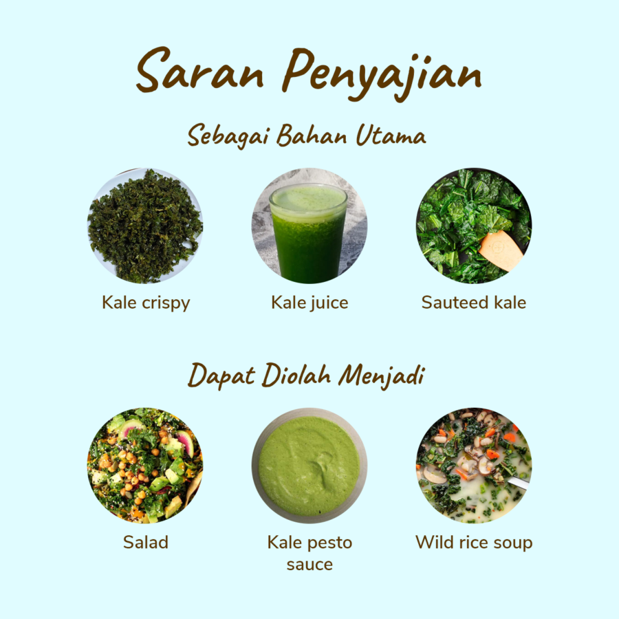 Kale Organik Astro Farm 200gram