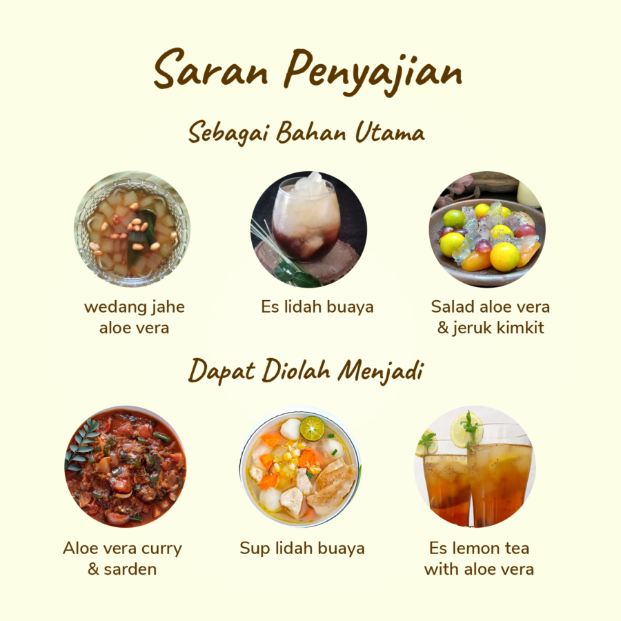 Lidah Buaya Astro Farm 1kg
