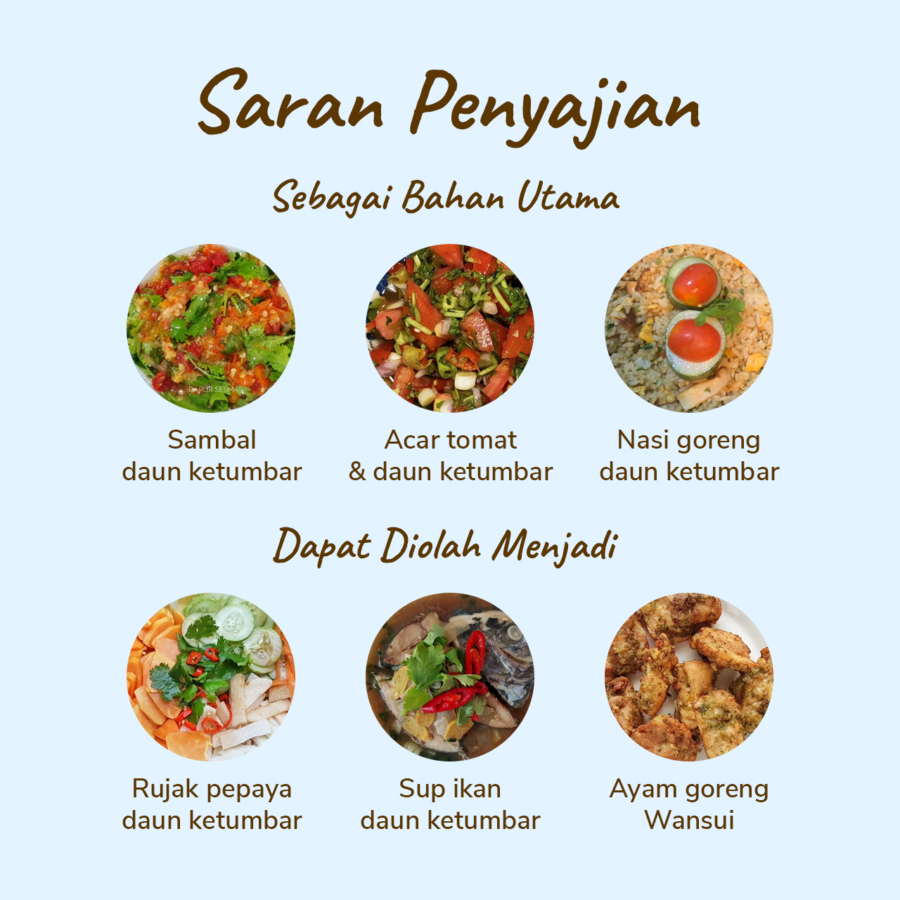 Daun Ketumbar Organik Astro Farm 50gram