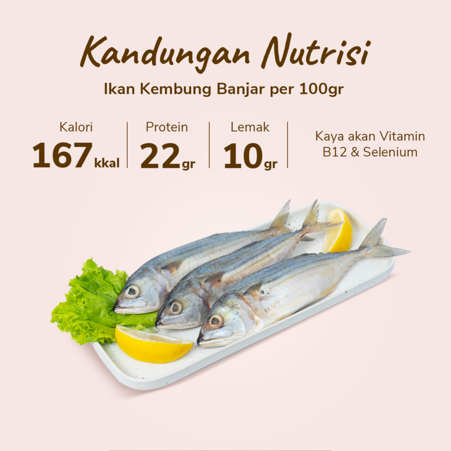 Ikan Kembung Banjar Wild Caught 400gram