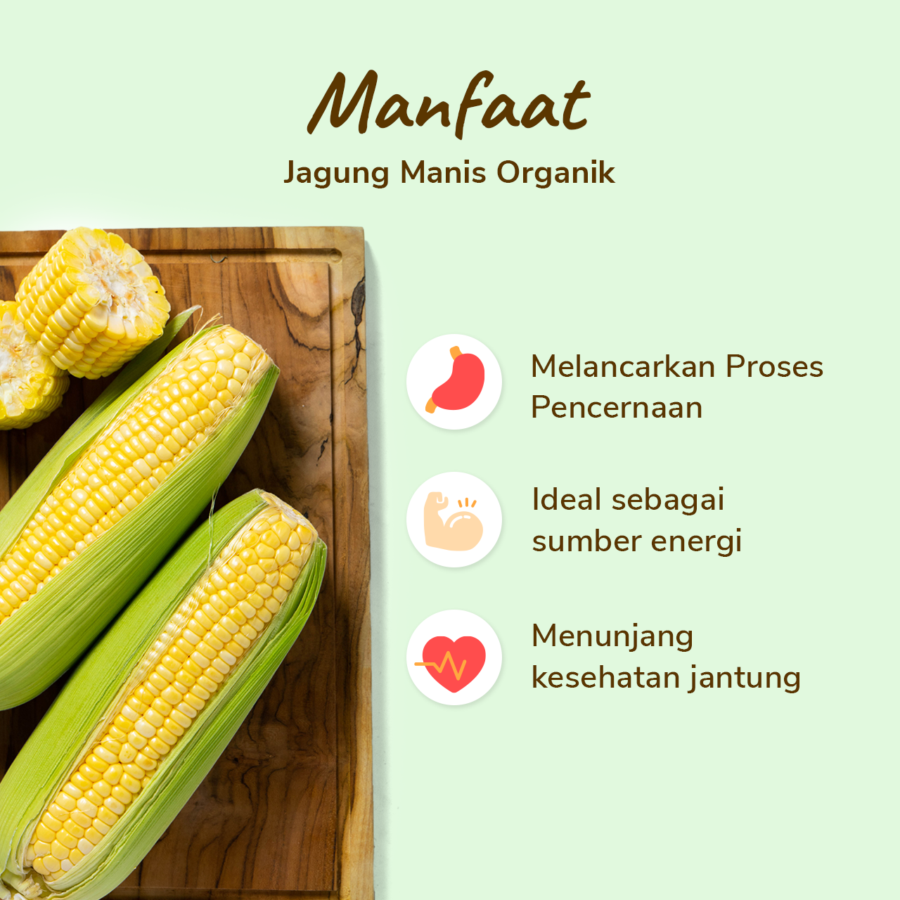 Jagung Manis Organik Astro Farm 500gram