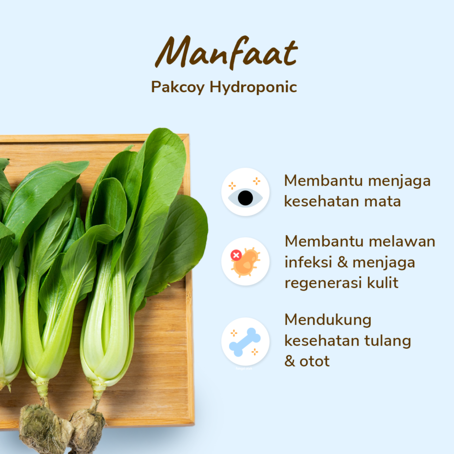 Pakcoy Hydroponic Astro Farm 100gram
