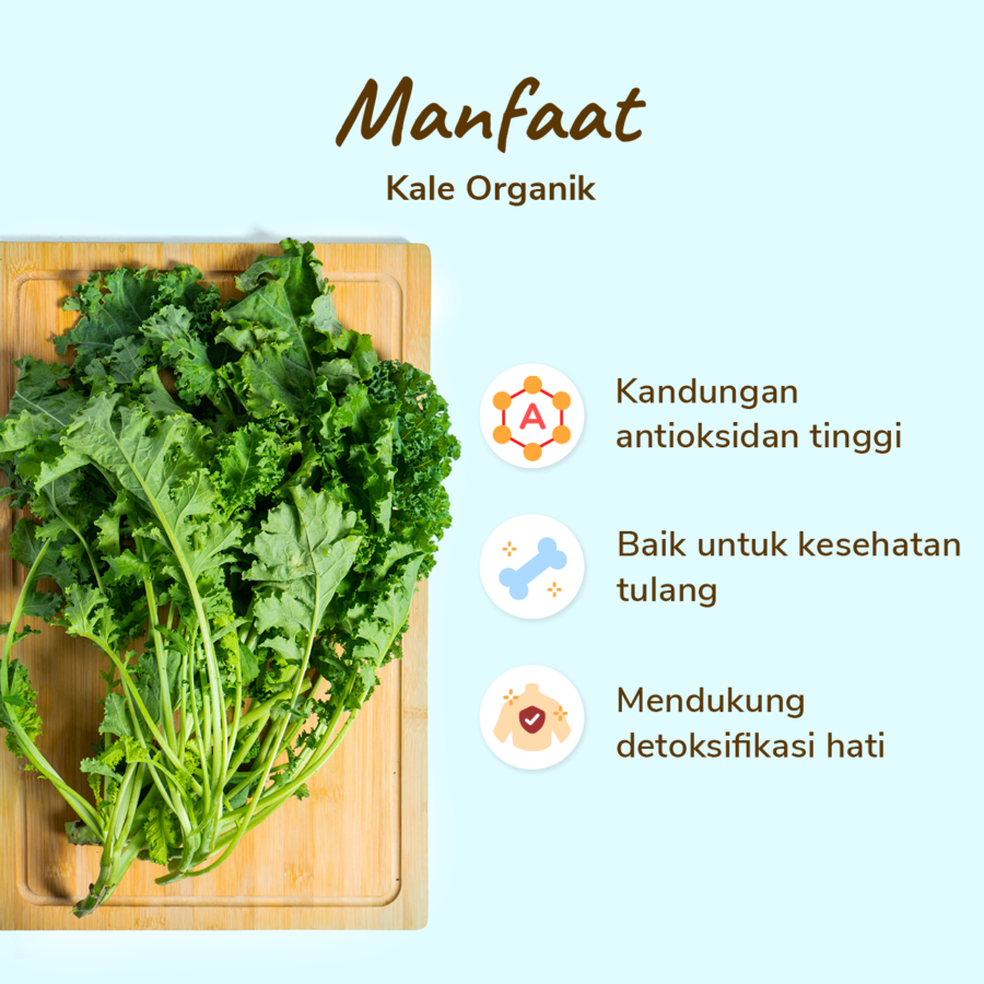 Kale Organik Astro Farm 200gram