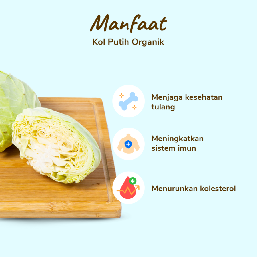 Kol Putih Organik 500gram
