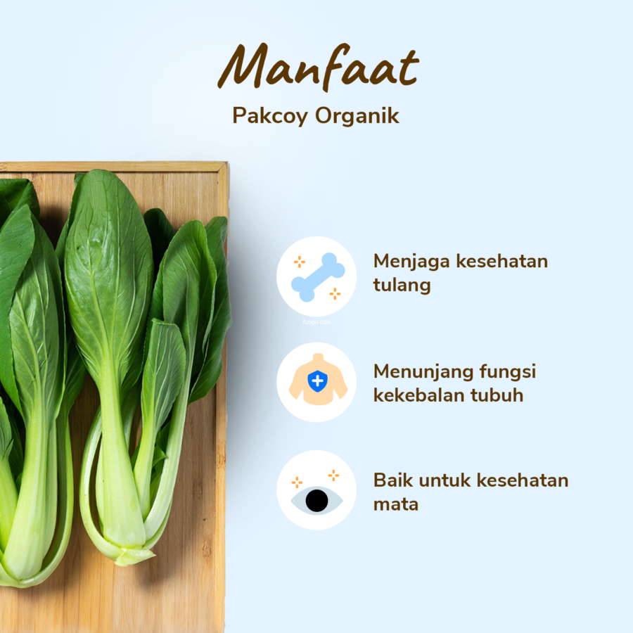 Pakcoy Organik Astro Farm 250gram