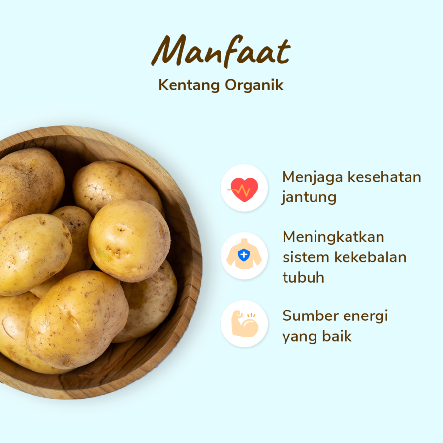 Kentang Organik Astro Farm 500gram