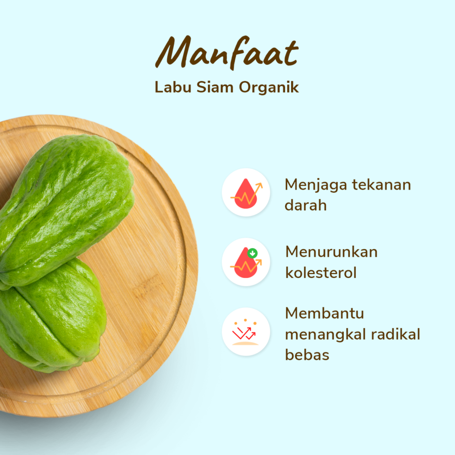 Labu Siam Organik Astro Farm 500gram