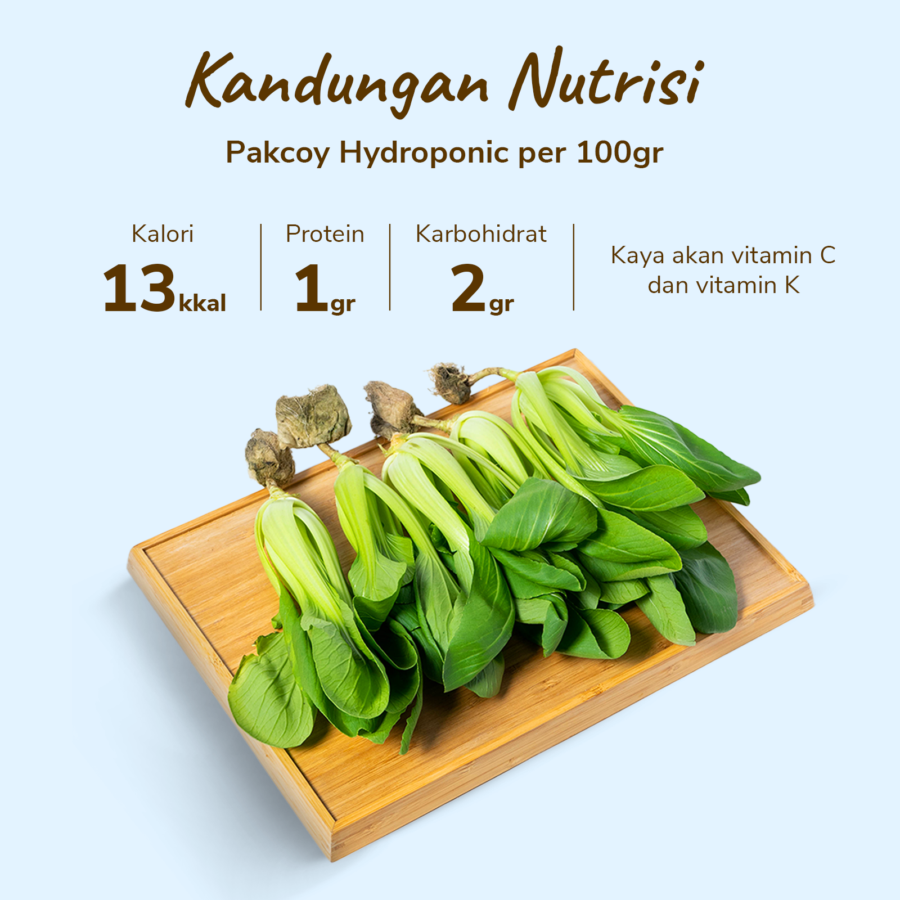 Pakcoy Hydroponic Astro Farm 100gram