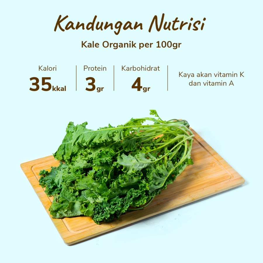 Kale Organik Astro Farm 200gram