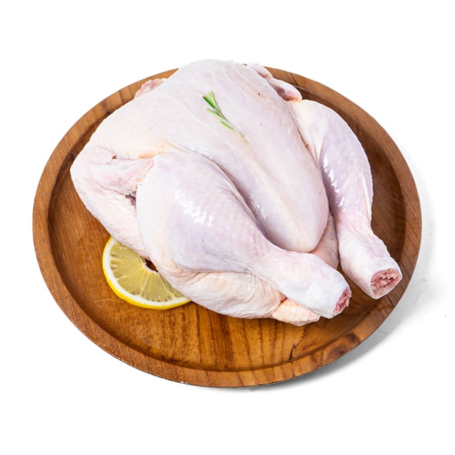Ayam Broiler Organik Probiotik + Jamu Regular 800-900gr Natural Poultry