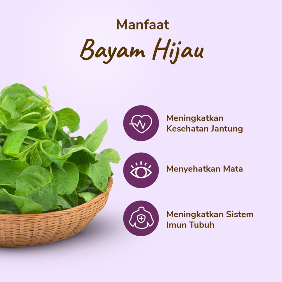Bayam Hijau Konvensional Astro Farm 100gram