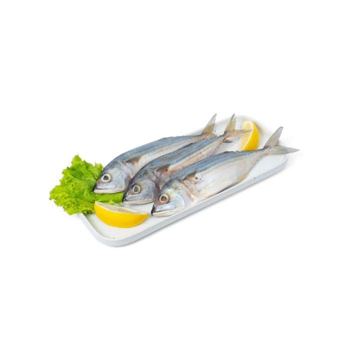 Ikan Kembung Banjar Wild Caught