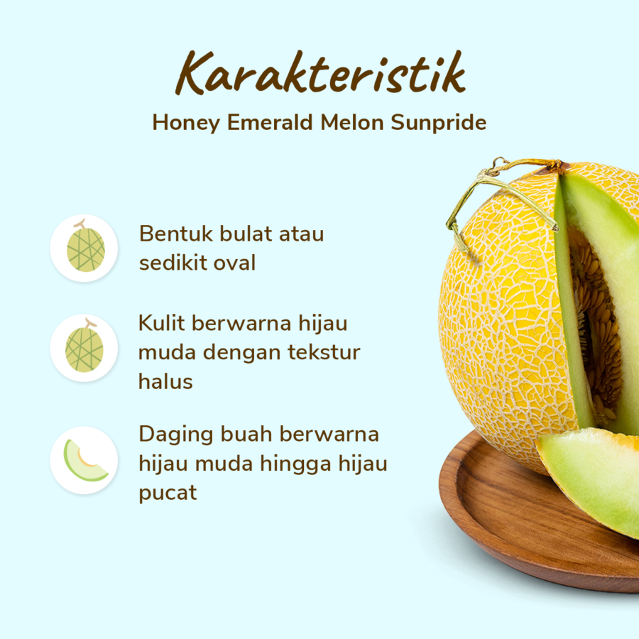 Sunpride Melon Honey Emerald 1.2 - 1.7 kg 1pcs