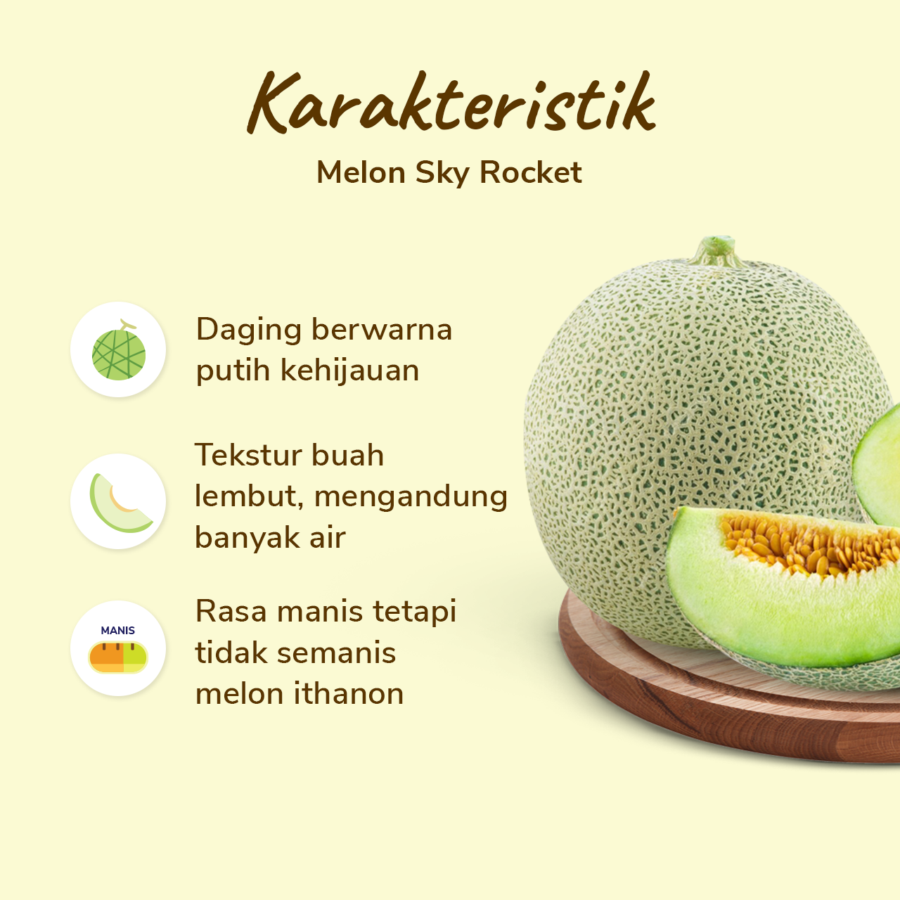 Melon Sky Rocket Astro Farm 1 pcs 1.4-1.7 kg