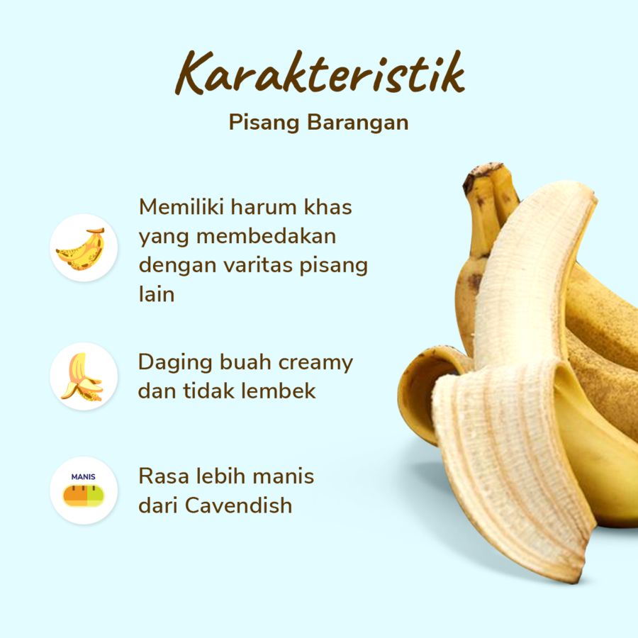 Pisang Barangan Astro Farm 4-5 pcs 250-350 gram